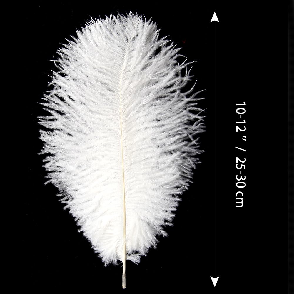 Lamar 20Pcs 10-12'' White Ostrich Feathers for Wedding Centerpieces, Crafts, Carnival Deco, Gifts, Festival, Party Decor, Floral Arrangement, Bohemian Home Decor (White)