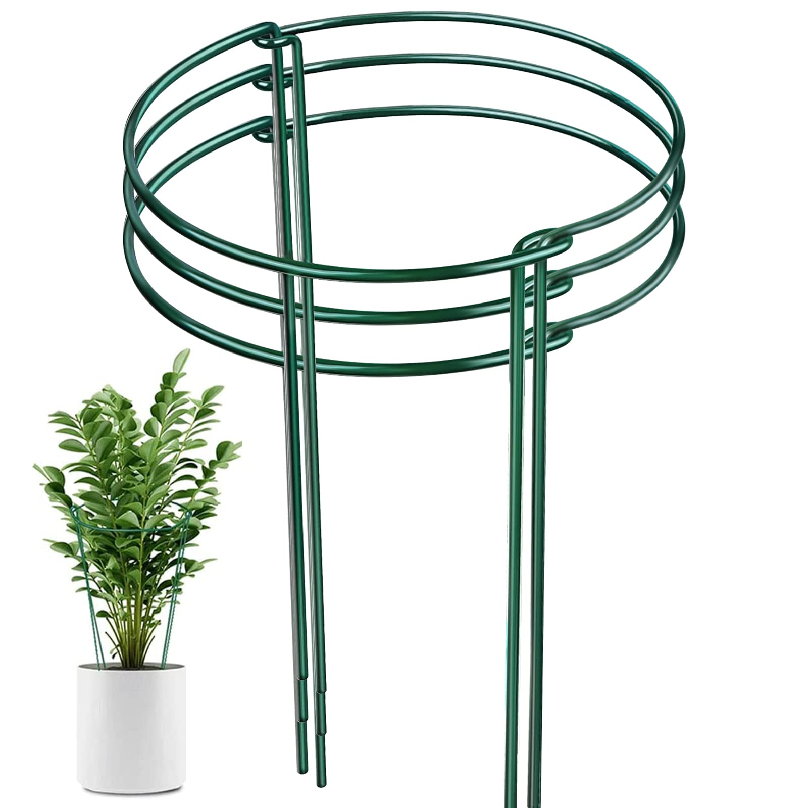 LAOJUPlants Support Stake Garden Plant Support Rings 6 Pack Metal Half Round Plant Supports Cage Suitable for Vegetables Tomato Flowers Peony and Rose, 25x40CM