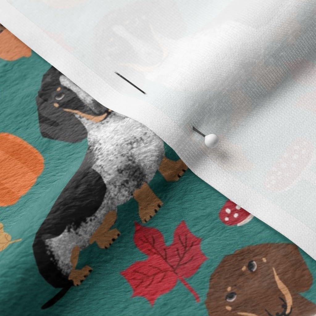 Spoonflower Fabric - Dachshund Dogs Autumn Pumpkin Leaves Fall Seasonal Dachshunds Pet Printed on Minky Fabric by The Yard - Sewing Baby Blankets Quilt Backing Plush