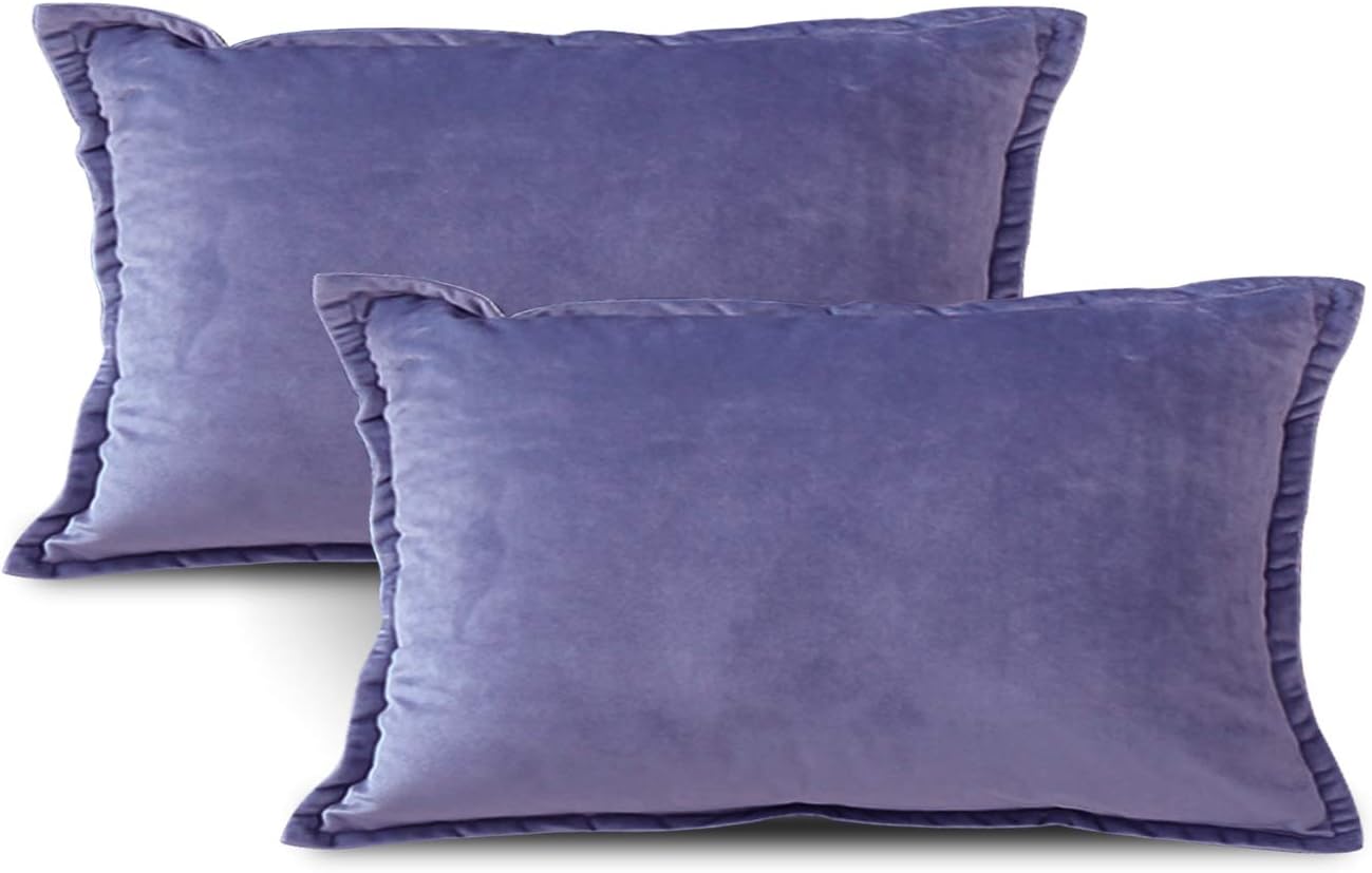 EIUE Soft Velvet Throw Pillows,Set of 2 Home Decor Decorations Square Couch Cushion with Polyester Stuffing for Sofa Bed Chair Office and Travel Car(Violet,12X20)