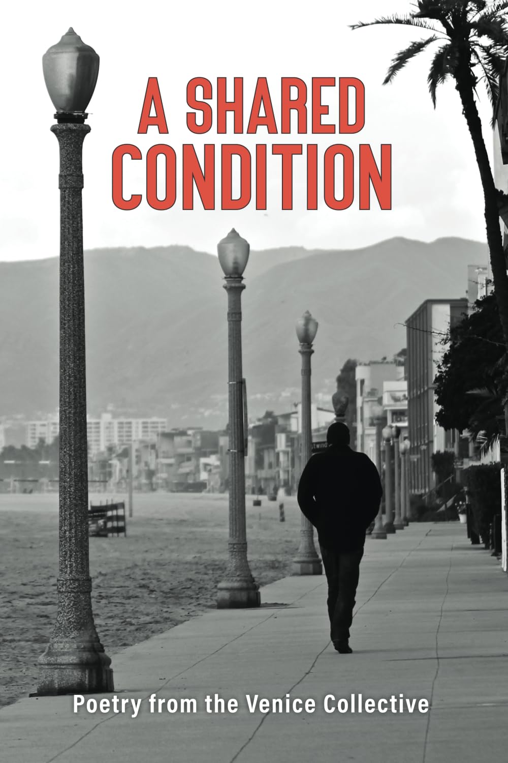 A Shared Condition: Poetry from the Venice Collective
