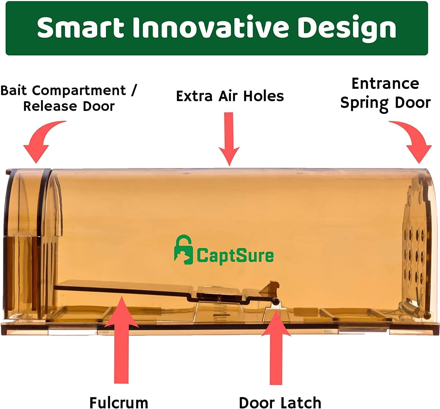 CaptSure Original Humane Mouse Traps, Easy to Set, Kids/Pets Safe, Reusable for Indoor/Outdoor use, for Small Rodent/Voles/Hamsters/Moles Catcher That Works. 2 Pack (Large)