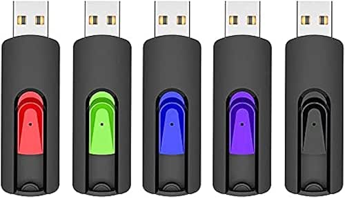 RAOYI 5 Pack 64GB USB Flash Drive, USB 2.0 Memory