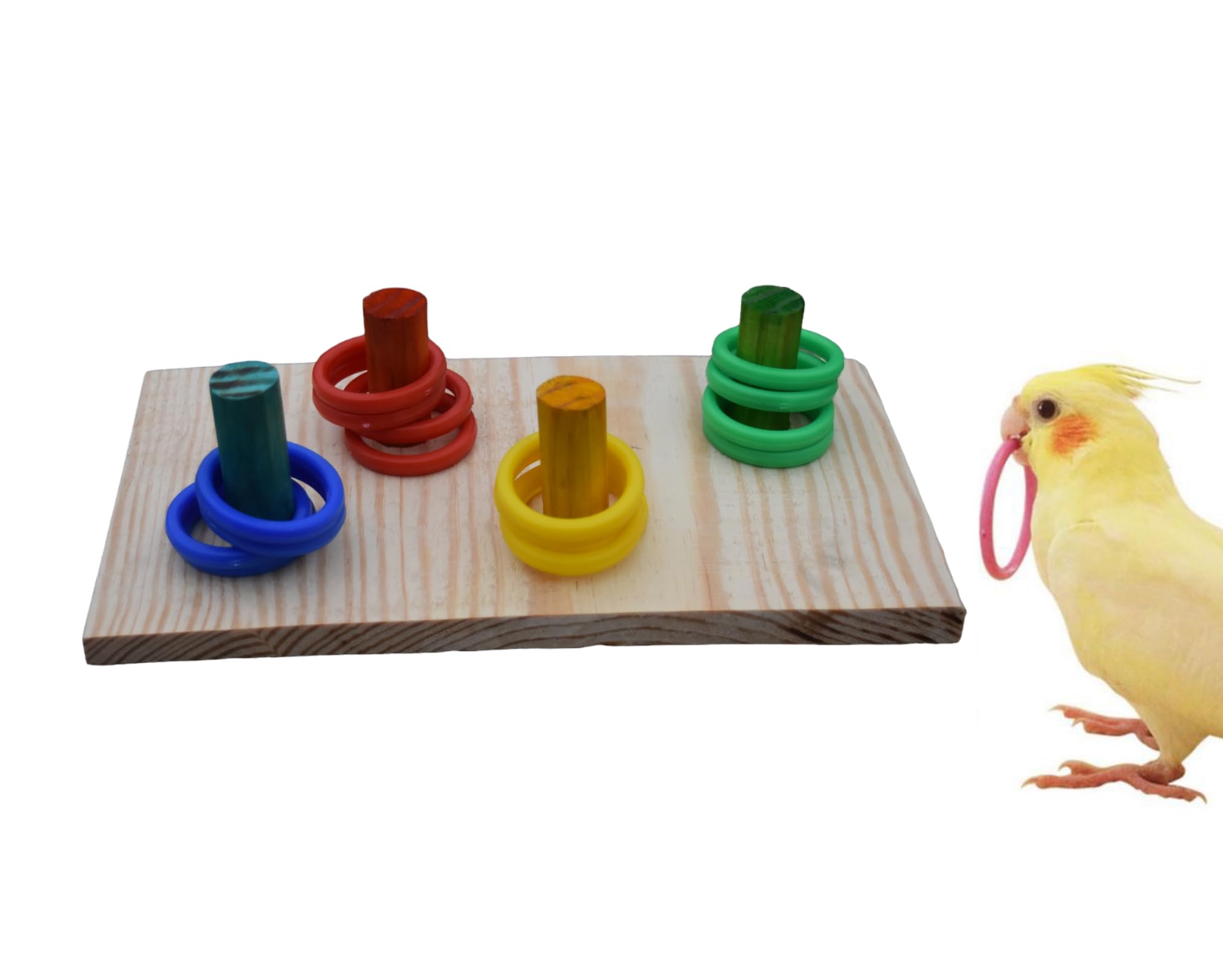 Poonch Pet Store Bird Brain Stimulating And Color Training Ring Toy For Budgies Cockateil Lovebird And Other Parrots- 16 Rings 4 Color Each. (B0CR6LPMKK) Amazon Price History, Amazon Price Tracker