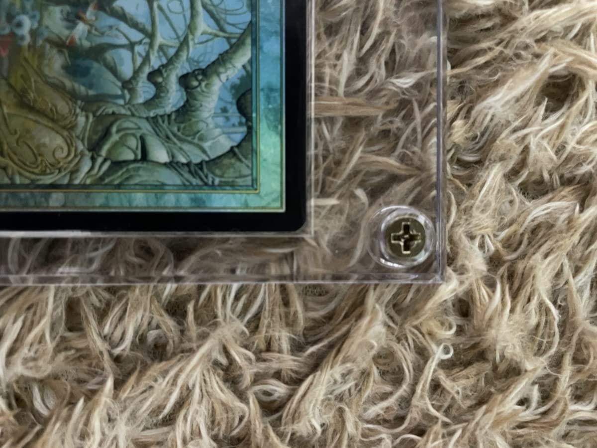 Amazon.co.jp: MTG ガイアの揺籃の地 foil ジャッジ褒賞 : おもちゃ
