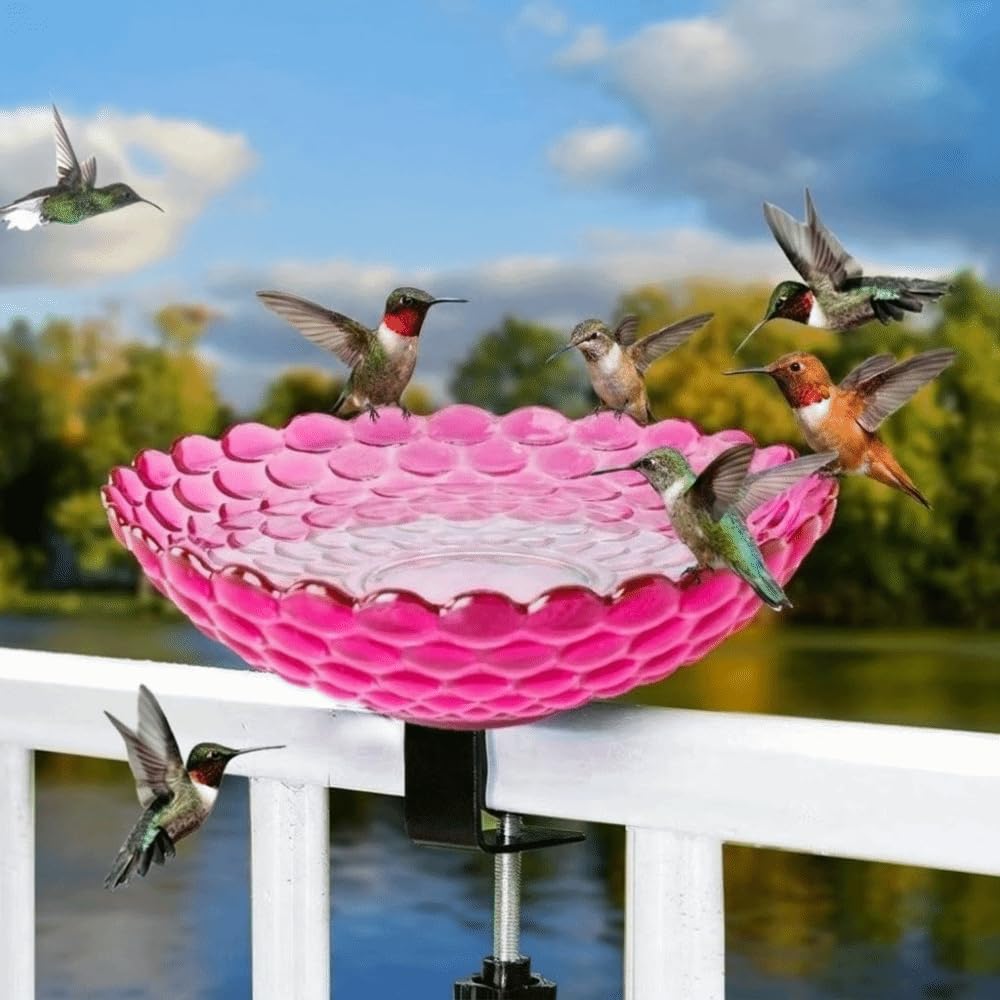 Baño para pájaros para barandilla de balcón, comedero de plástico portátil con abrazadera, cuenco de agua al aire libre para jardín, patio, terraza, ideal para pájaros pequeños