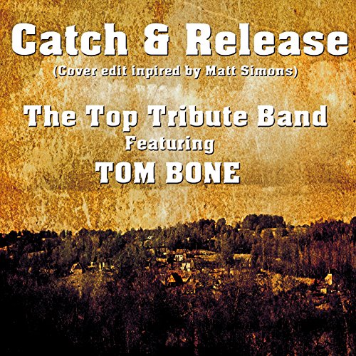 The Top Tribute Band