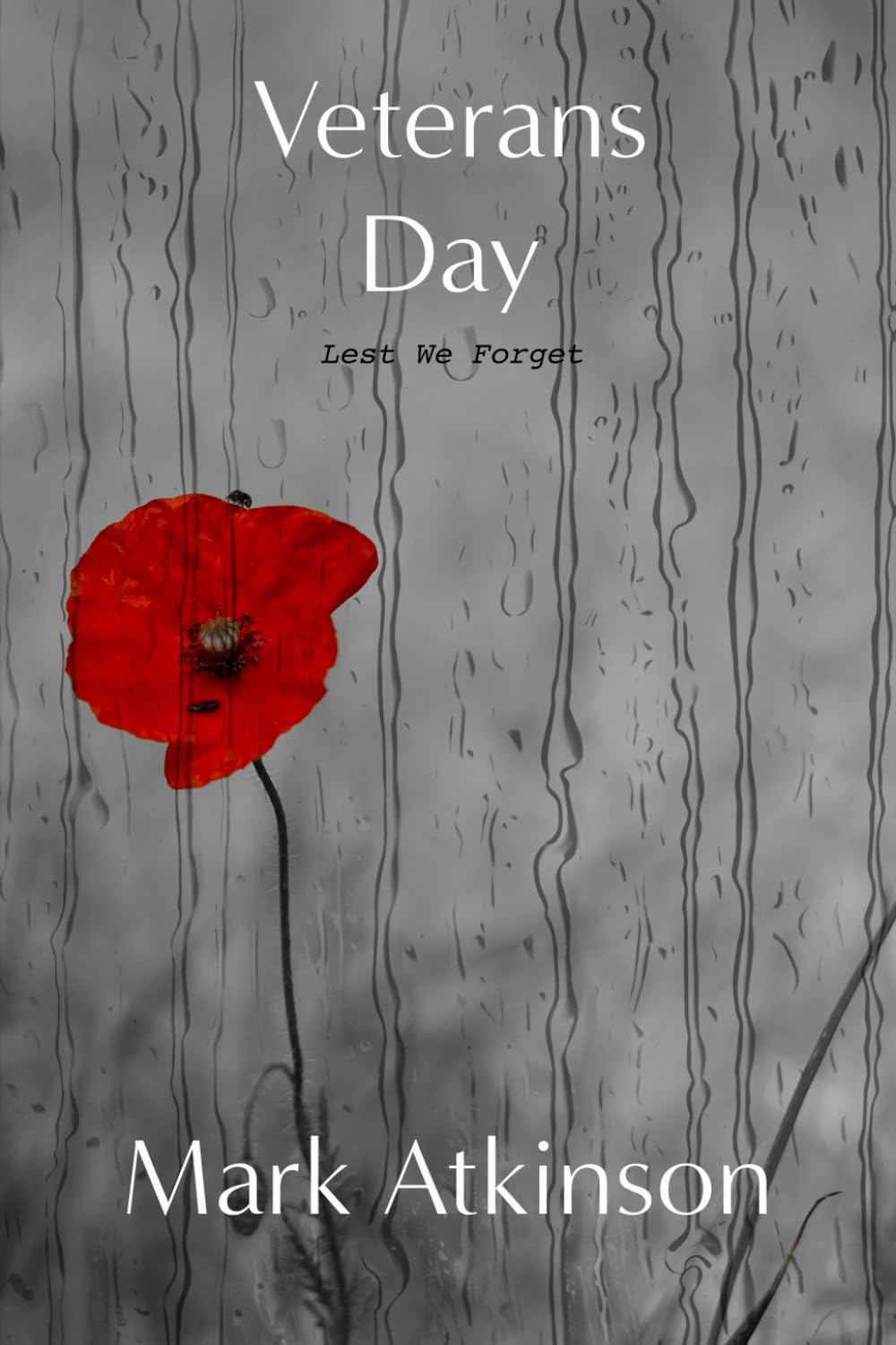 Veterans Day: Lest We Forget (The Dark Side)