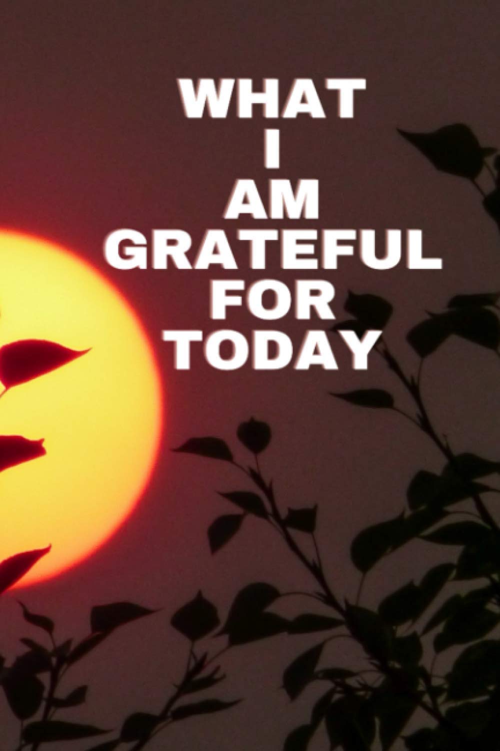 WHAT I AM GRATEFUL FOR TODAY: notebook(composition book journal)(6×9 Large)