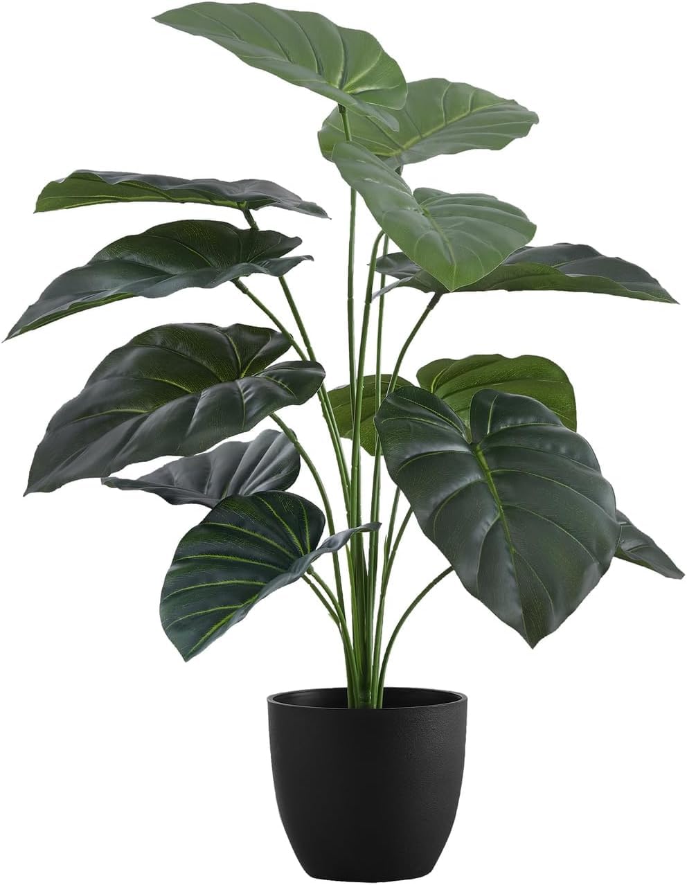 See full amazon price history chart for Dekorly Artificial Palm Plants Leaves Faux Turtle Leaf Fake Palm Tree Leaves Outdoor UV Imitation Leaf Decorations | 26Inch Plants with BlackPot | 18 Leaves (Model-A) Dekorly Artificial Palm Plants Leaves Faux Turtle Leaf Fake Palm Tree Leaves Outdoor UV Imitation Leaf Decorations | 26Inch Plants with BlackPot | 18 Leaves (Model-A) (B0DF7Z2HR5) Amazon Price History, Amazon Price Tracker