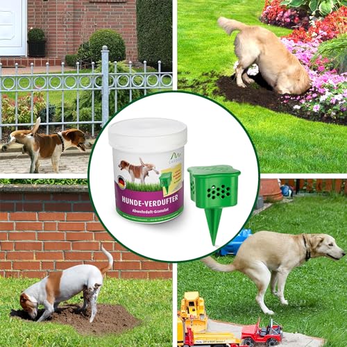 GARDIGO® Hundeschreck Granulat inklusive Beet-Stecker | 300g | Hundeschreck Garten mit Eukalyptus Citriodora Öl I Made in Germany I Hundeabwehr für Haus und Garten | Hundevertreiber