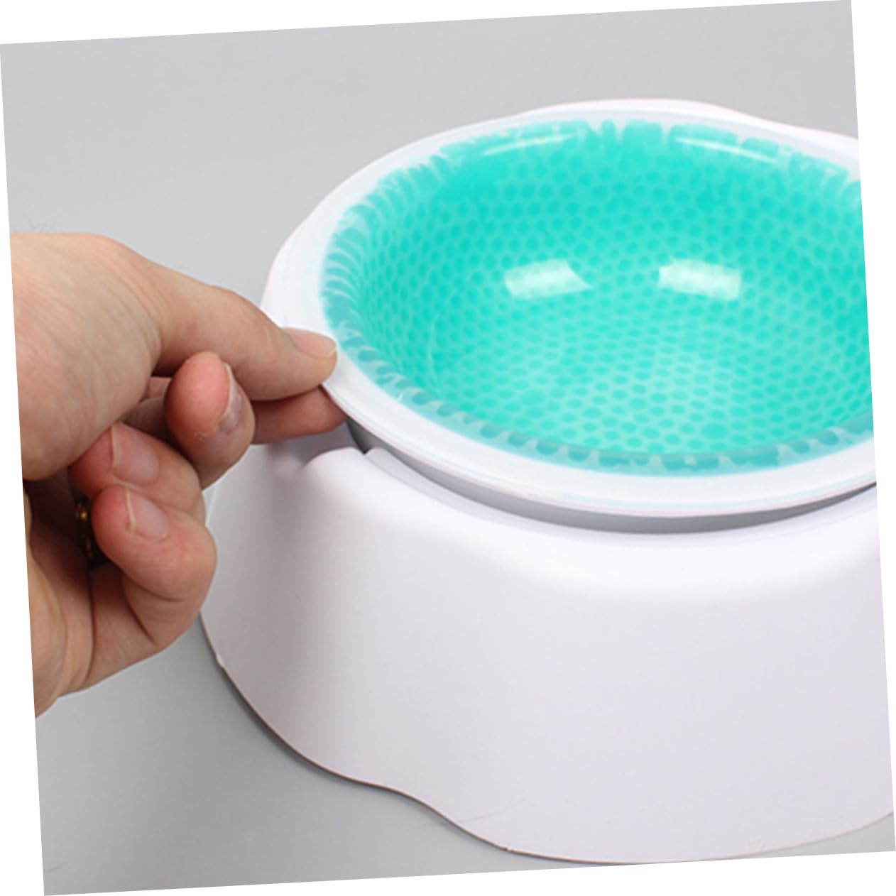 Ciotola Refrigerante per Gatti, Bassa Temperatura, Pp Verde, Pet
