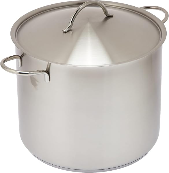 WMF Marmite en acier inoxydable 28 cm avec couvercle