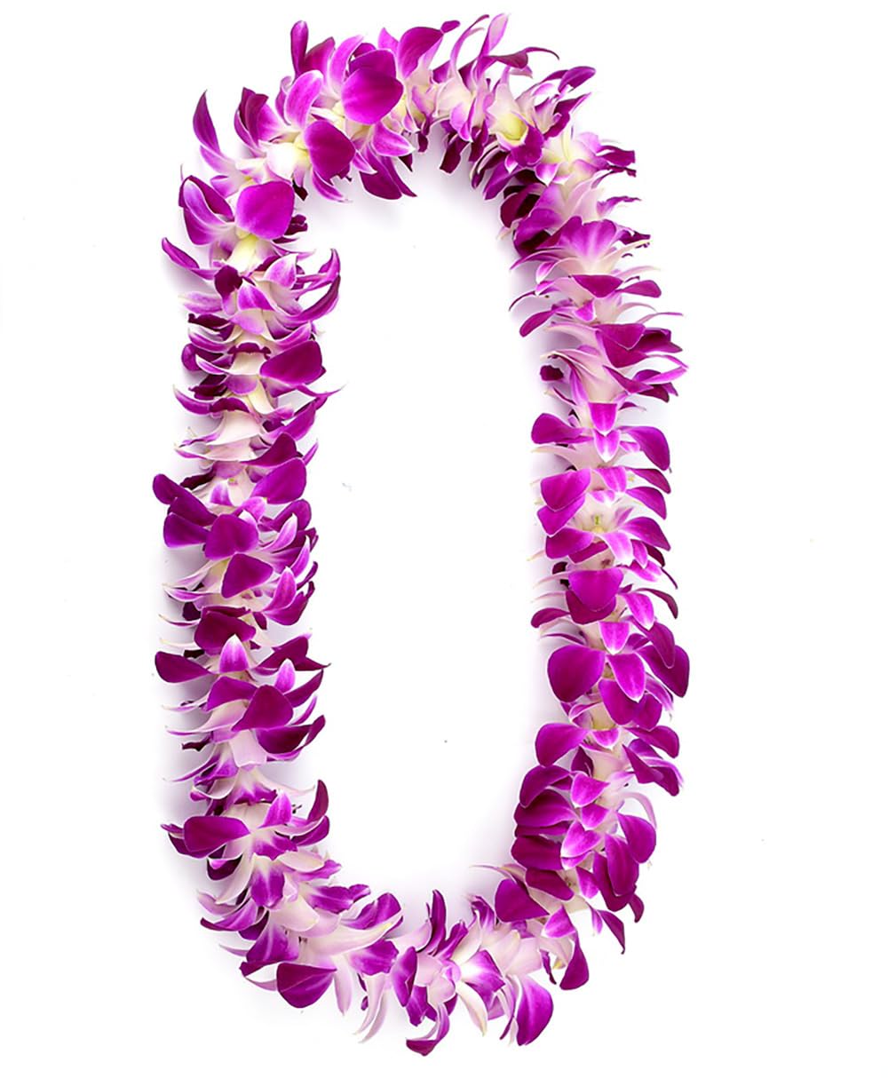 Fresh Perishable Orchid Flower S-LEI OrchidClubUSA Sunne Tropical (PURPLE Sonia, NATURAL SINGLE LEI)