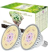 Amazon.co.jp: MORSEN LED植物育成ライト 80W相当 暖色 E26口金 フル