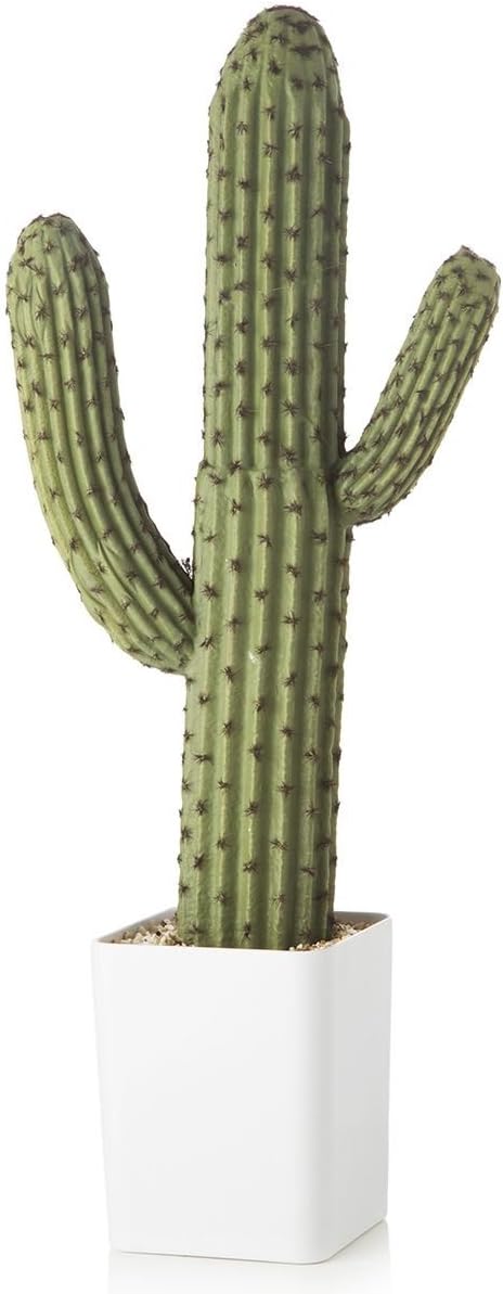 Large potted Cactus plant 14X12X58 Cubic cm