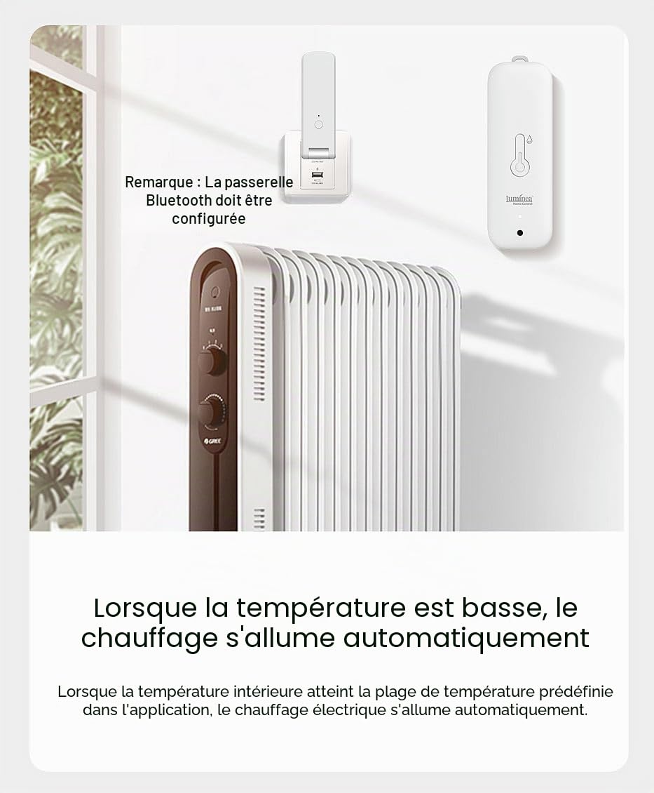 Thermomètre-hygromètre connecté étanche avec fonction bluetooth [Luminea]