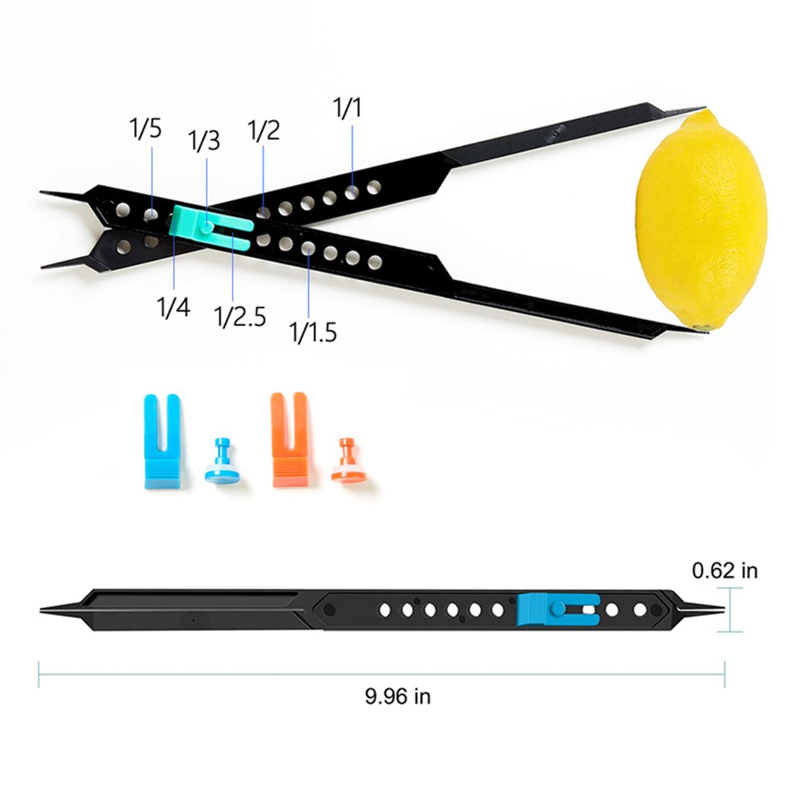 Lot de 10 intercalaires de 26 cm pour projets artistiques scolaires