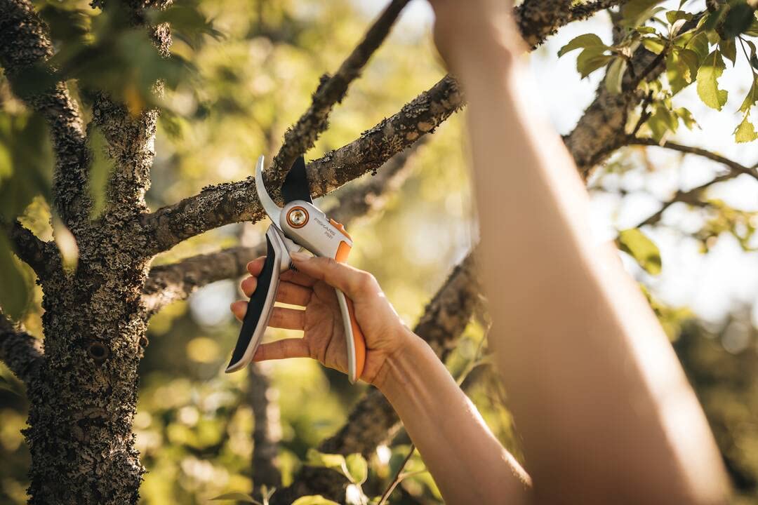 Fiskars Sekator boczny do świeżych gałęzi i gałązek, powłoka antyadhezyjna, stalowe ostrza/aluminiowe rączki, czarny/pomarańczowy, Plus, P531, 1057168
