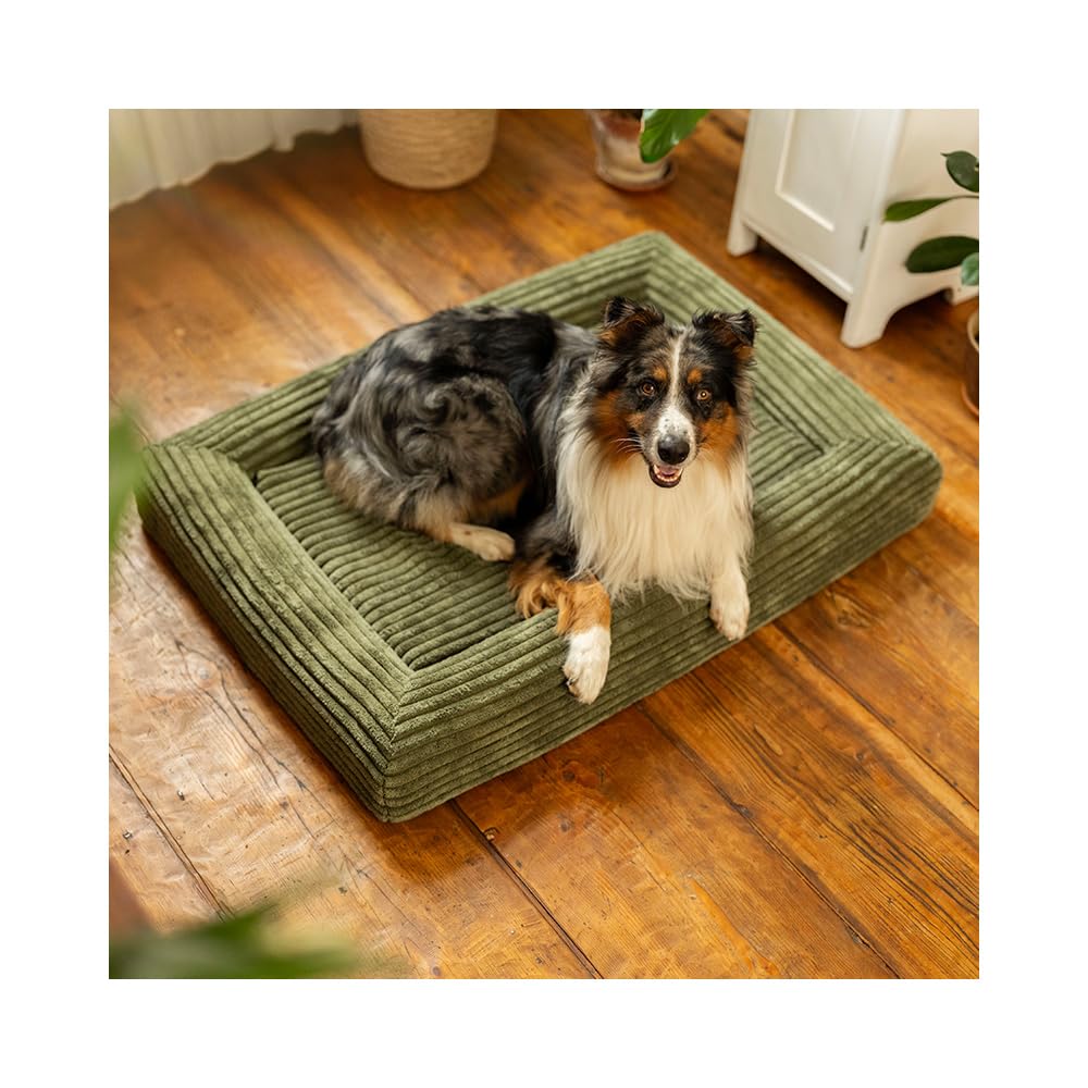 Cuccia ortopedica Cloud - Comodo tappetino per cani con memory foam, fodera rimovibile e fondo antiscivolo, 4 misure (XS - L) e 3 colori (M 100 × 70 cm - verde Mos)