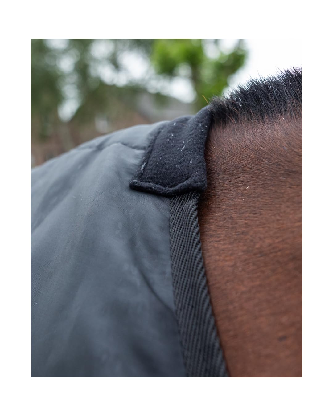 4Horses Unterdecke 100 g, wärmende Pferdedecke mit Polyfill, Taftgewebe, Widerristpolster und sicherer Befestigung an Außendecken