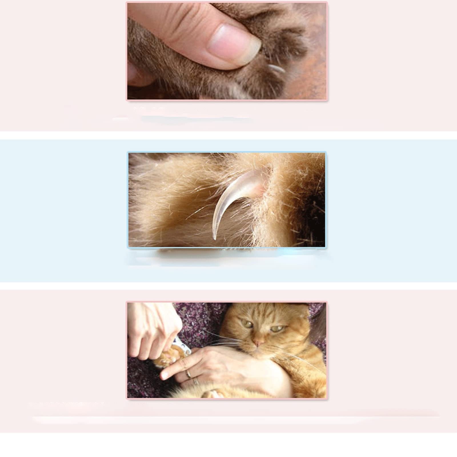 Cortaúñas para pies, cortaúñas para mascotas, cortaúñas para perros, cortaúñas para perros, cortaúñas azul, cómodo y fácil de usar. Tijeras