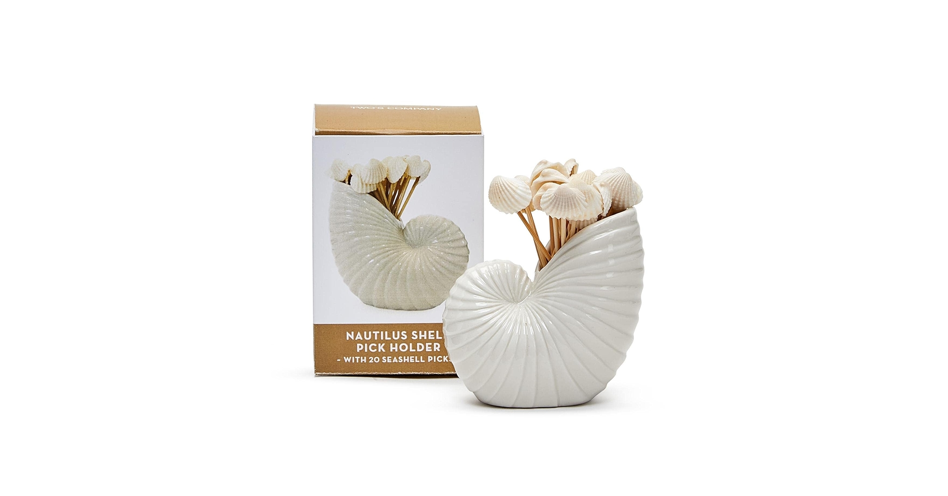  Nautilus collection 貝殻 小物入れ Amazon.com: Two's Company Nautilus Shell with 20 Seashell