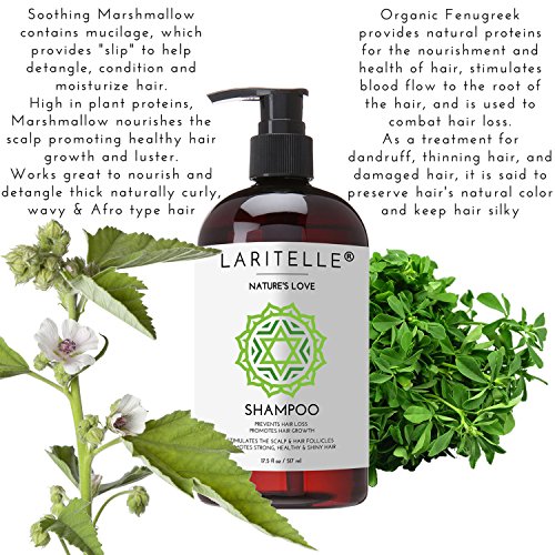 Laritelle Organic Shampoo 17.5 Oz | Organic Quinoa + Keratin + Follicle Stimulating Rosemary, Ginger & Grapefruit | Hair Loss Prevention, Clarifying, Softening, Strengthening | No Gmo. Vegan #TOP3