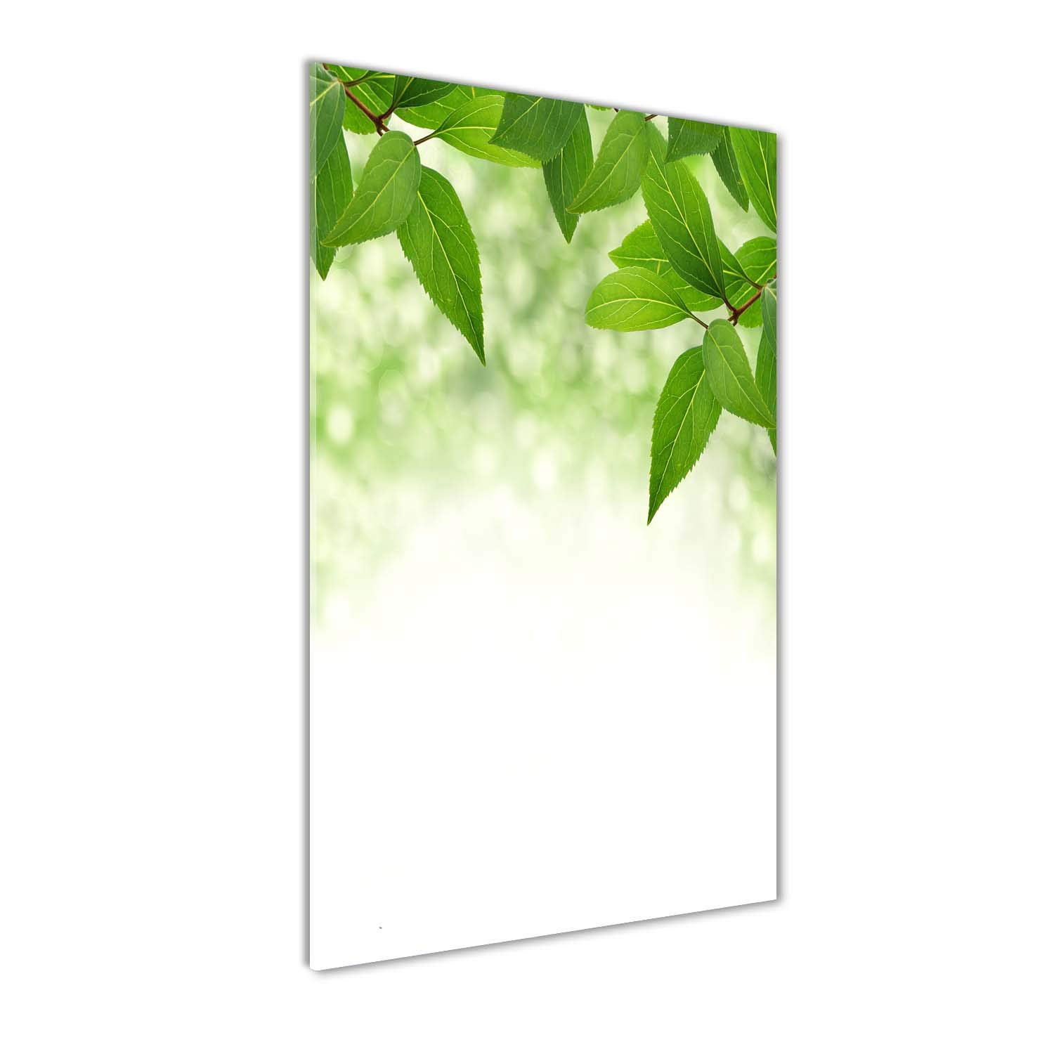 Tableau panoramique en verre Tulup, décoration murale de plantes vertes pour salon chaleureux.