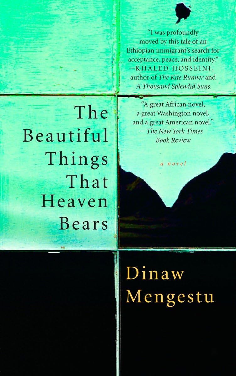 The Beautiful Things That Heaven Bears 9781594482854