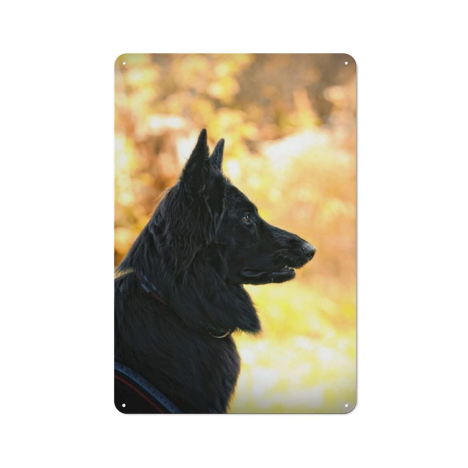 Junmoney Belgian Shepherd Dog-1 Metal Wall Sign 30X20cm Featuring Belgian Shepherd Dog For Living Room Wall, A Decorative Gift For A Newly Furnished Living Room