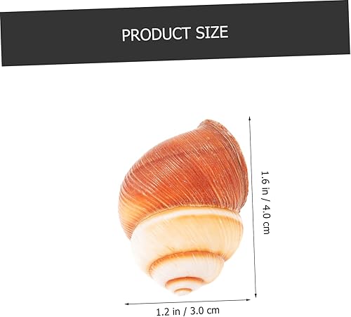 Miniatura 3 de Healifty 5 piezas de caracol natural para hornear caracol decorativo para aislamiento térmico para cocinar en casa y comedor elegante