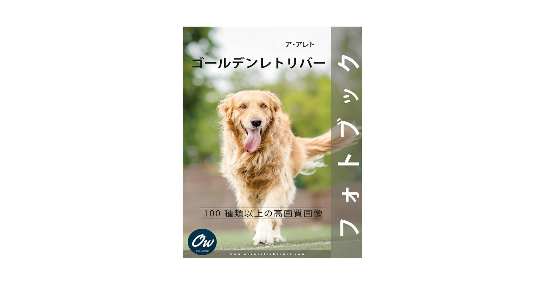 ヴィンテージ　洋書　英語　Yellowpup ゴールデンレトリバー子犬　写真集 ヴィンテージ 洋書 英語 Yellowpup ゴールデンレトリバー子犬