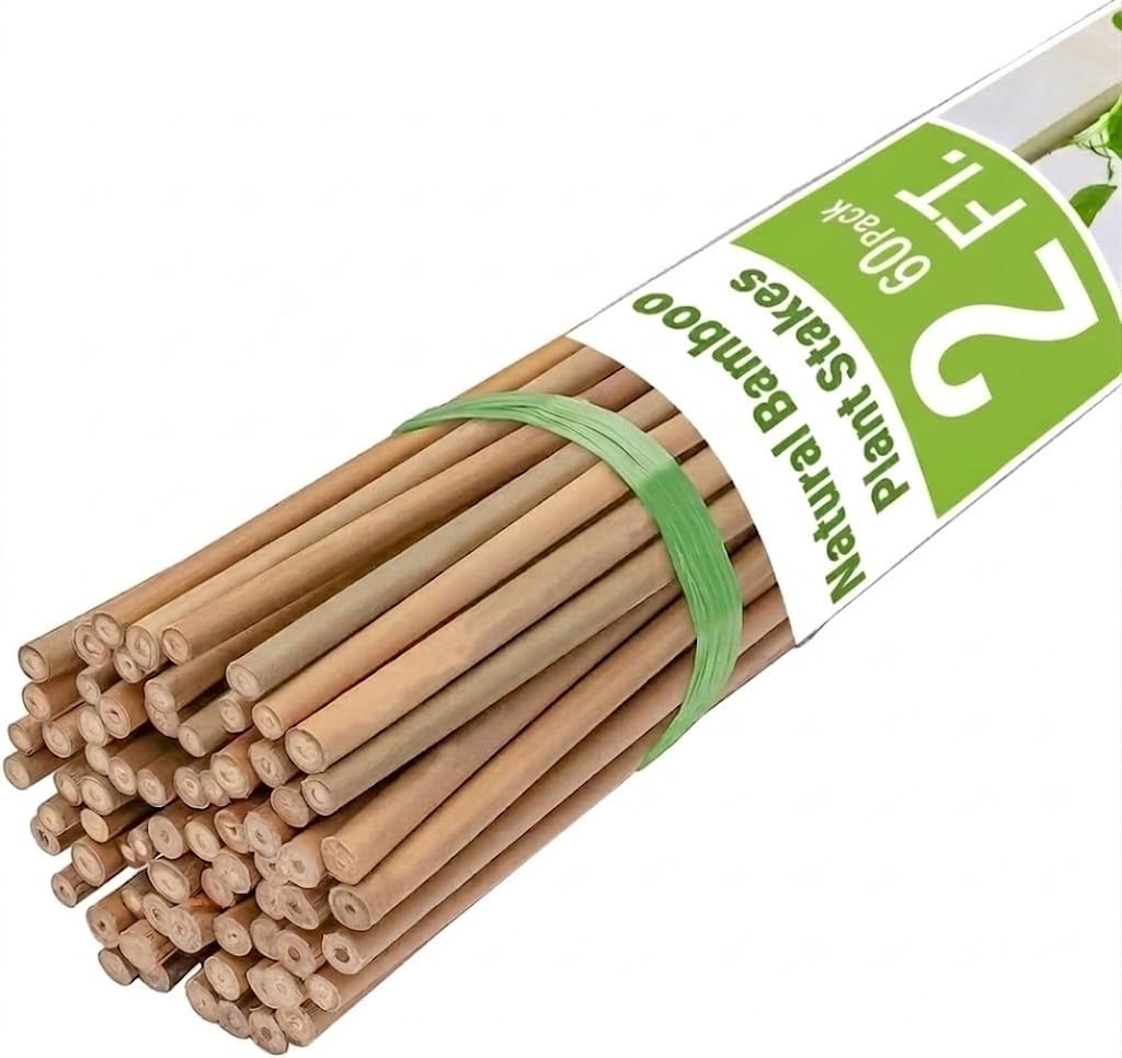 Gardgue 2 Feet Bamboo Plant Stakes