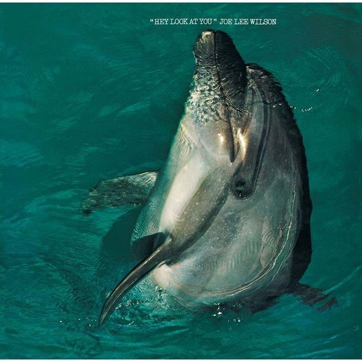 JOE LEE WILSON - Hey Look At You - CD