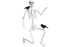 12 Foot Skeleton Home Accents: Top-Rated Halloween Decoration Guaranteed to Scare the Neighborhood