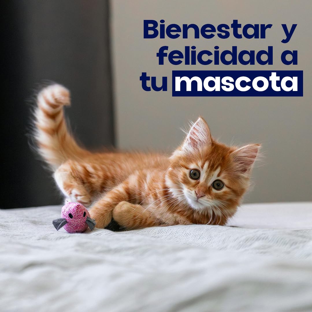 Pipetas Gatos LIFRONIL x3 Pipetas contra Pulgas y Garrapatas | Apto para Todo Tipo de Gatos a Partir de 2 Meses y más de 1 kg de Peso | Protección hasta 5 Semanas | Nexum Market (Pack de 1 Unidad)