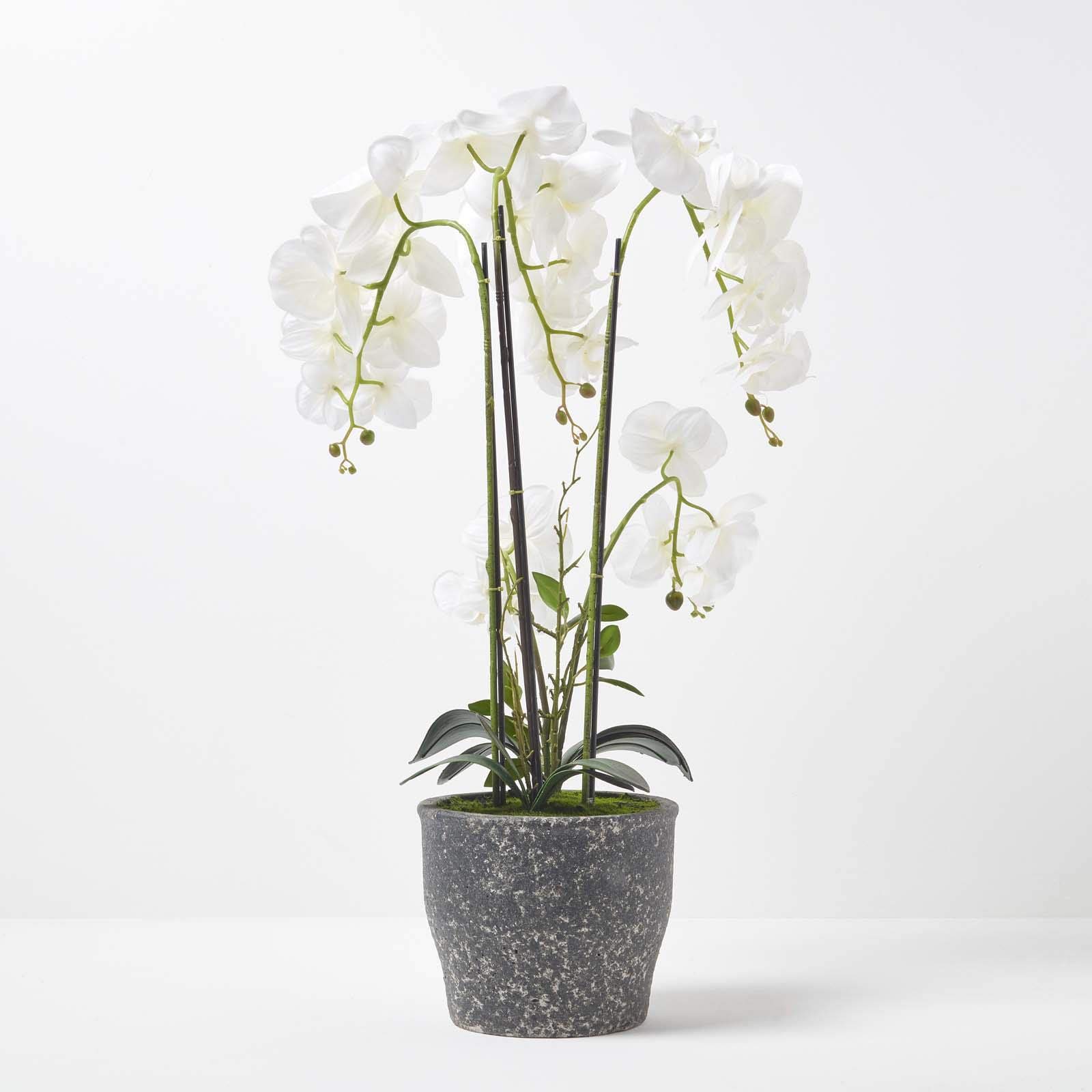 Homescapes extra große Kunstorchidee im Topf, hochwertige künstliche Orchidee mit weißen Blüten, XXL-Deko-Orchidee Phalaenopsis im dunklen Keramiktopf, dekorative Kunstblume, 82 cm hoch