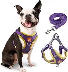 Coleira Peitoral para cachorro pequenos e médios com guia para pet colete confortável (Roxo, 10-14 KG)