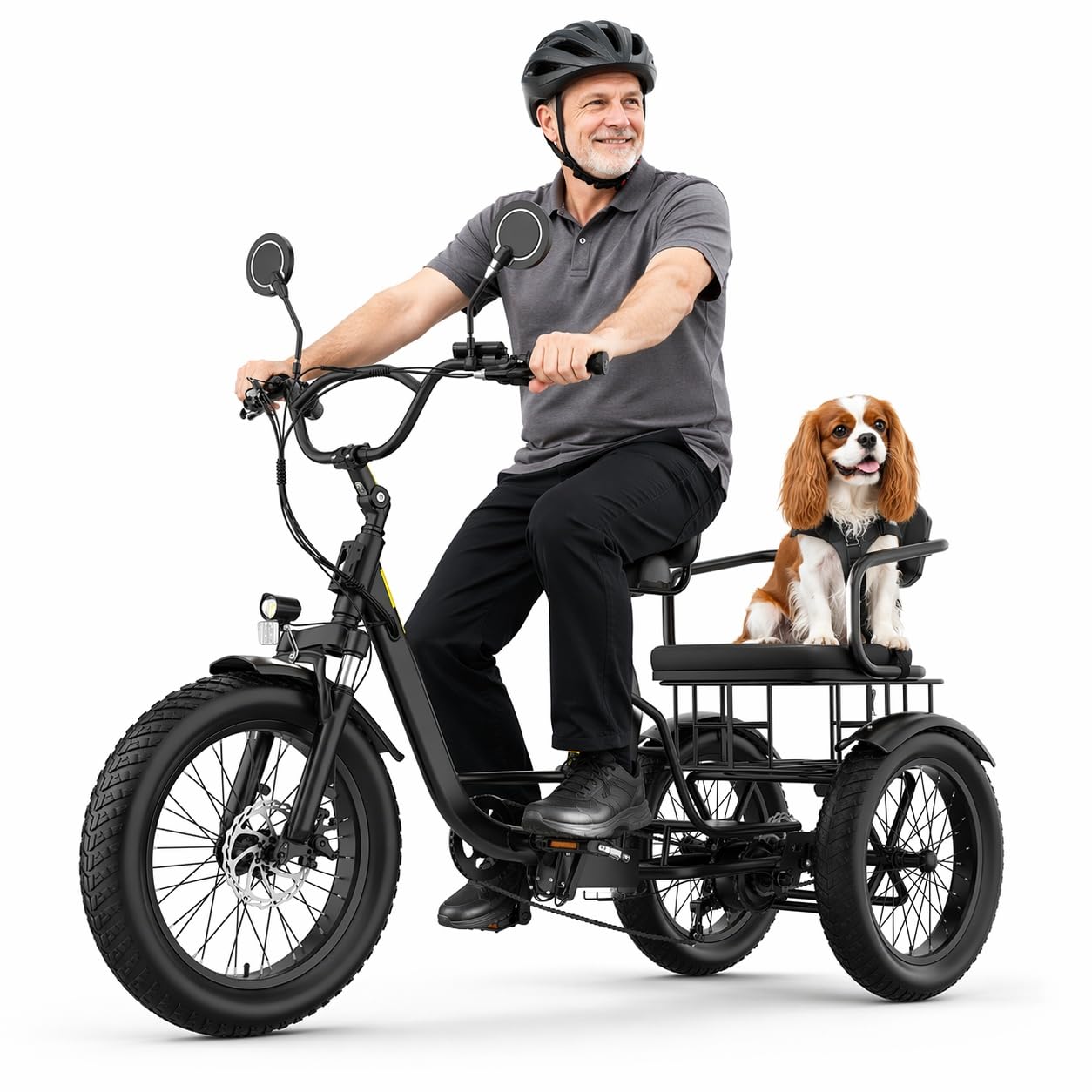 ANCHEER Electric Tricycle for Adults, 20" Fat Tire Electric Trike, 15.5MPH 3 Wheel Electric Bike for 60+ Seniors, 864Wh Removable Battery, 80N.M, LCD, Rear Differential, Rear Seat Basket