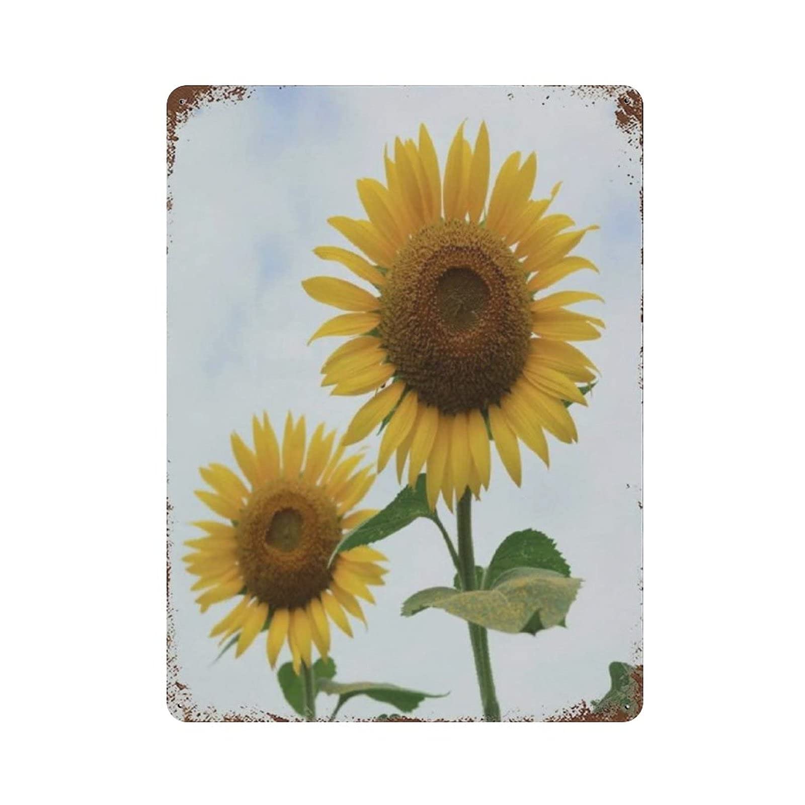 Twins Sunflowers Metal Signs, Fun Poster For Bar Kitchen Cafe Farmhouse Wall Decor 12x16 inch