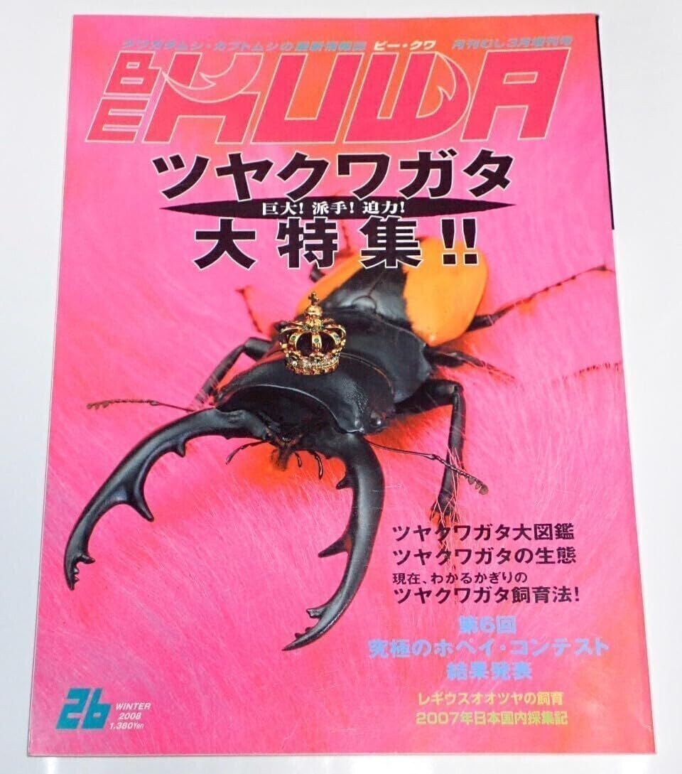 ガテマラ産 ツノハナムグリ 37mm ガテマラ産 ツノハナムグリ 37mm