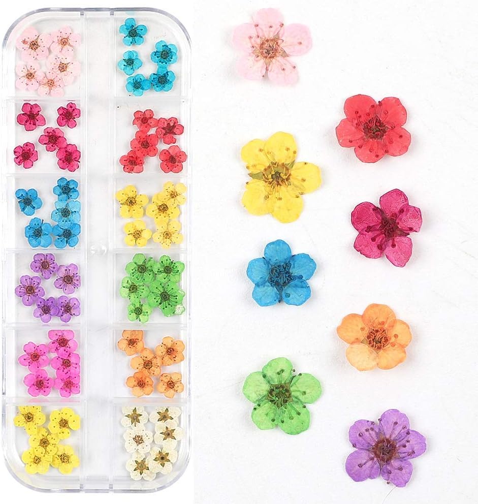3D Nail Dried Flowers Sticker，60 Five Petal Flower 12 Colors Natural Real Dry Flower Nail Stickers （60 Flowers）