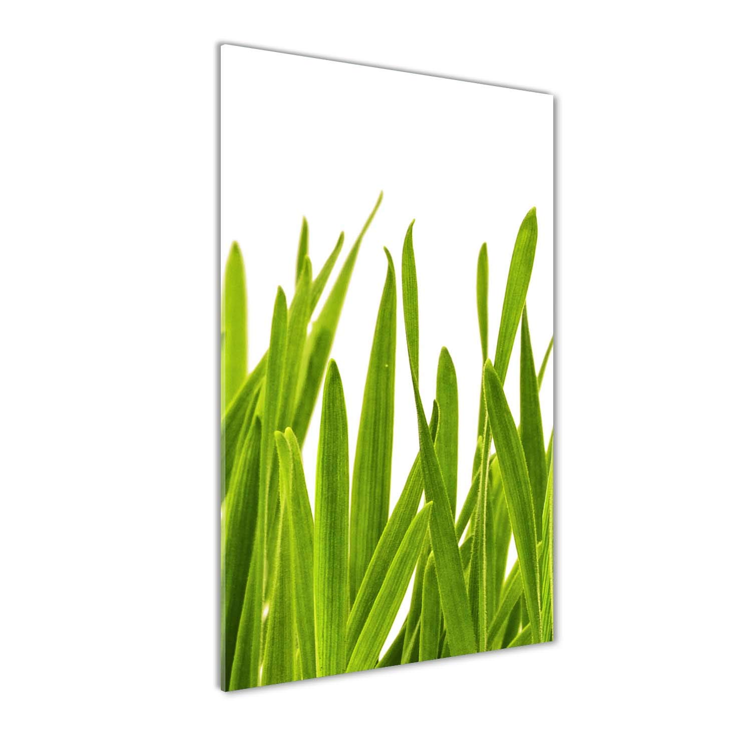 Image tableau photo decorative panoramique 50x100 cm verre herbe cuisine
