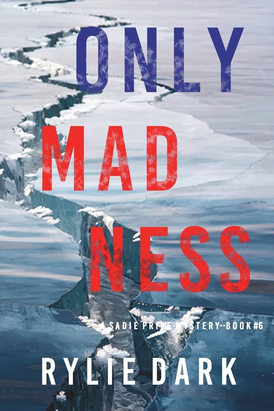 Only Madness (A Sadie Price FBI Suspense Thriller—Book 6)