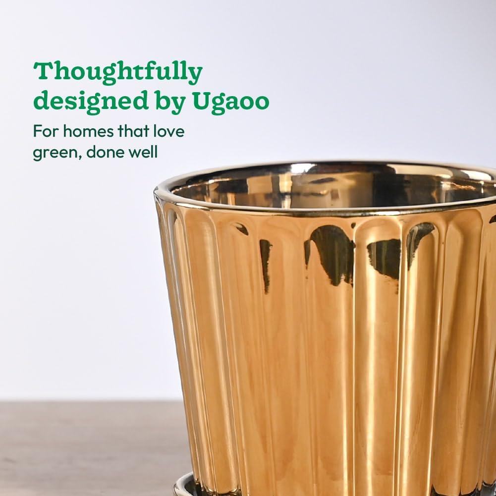 UGAOO Fluted Ceramic Pot - Gold -6 UGAOO Fluted Ceramic Pot - Gold -6
