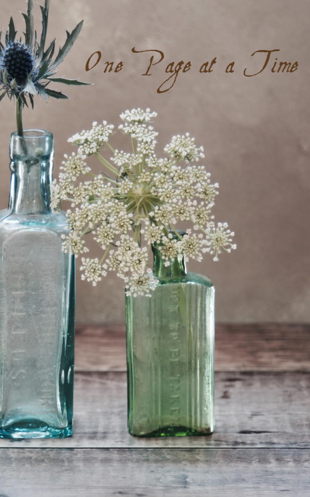 One Page at a Time Journal: Color Your World with Beauty