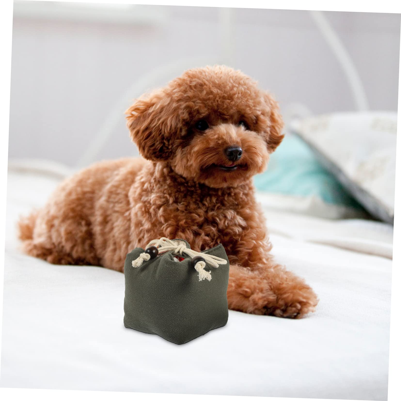 minkissy 5pièces Pochette De Friandises pour Chien Entraînement Et Pratique Rangement Facile pour Récompenses Lors des Et Séances Éducation