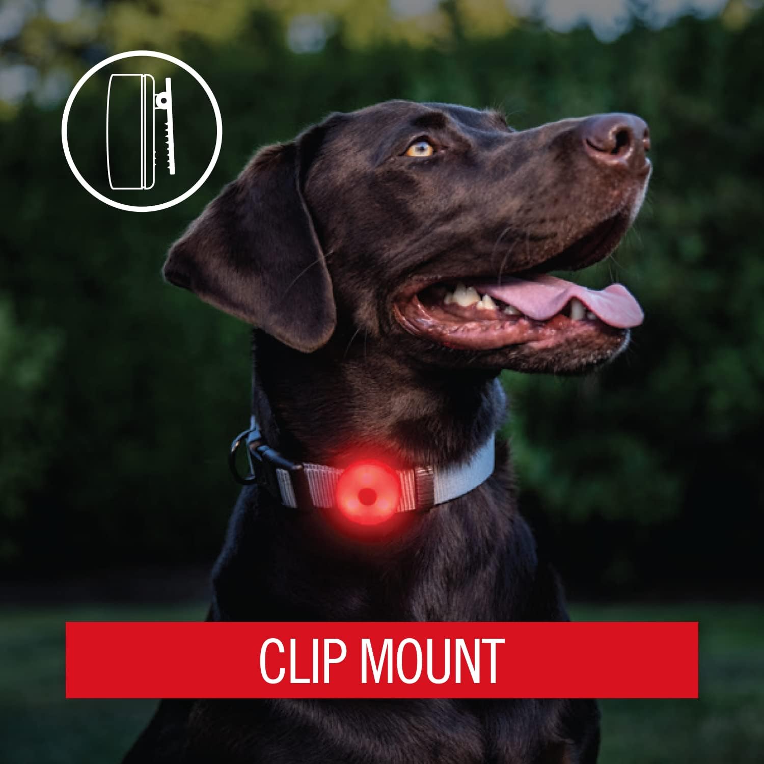 Coast SL1R USB Rechargeable Safety Clip Light with Red Light Multi-Mode and Adhesive Dual Mount, Running, Walking, Cycling, Job Site, Helmet/Hard Hat Compatible, Dog Light