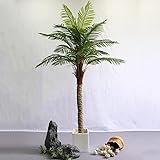 CAMBOS Künstlicher Baum – Areca-Palme, Künstliche Bäume Für Den Außenbereich – Künstliche Pflanzen Für Die Heimdekoration Im Innenbereich – Tropische Dekoration, Areca-Palm 5m